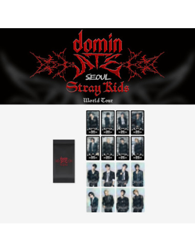 Stray Kids - Dominate Seoul Special Trading Card  - Photocard Grande Size: 7.2×12.9cm  Random 1 out of 16 