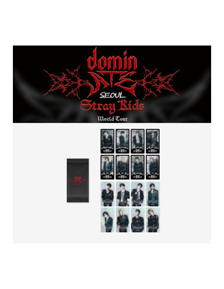 Stray Kids - Dominate Seoul Special Trading Card  -  Photocard Grande Size: 7.2×12.9cm  Random 1 out of 16   